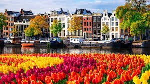 Average Cost of Living in the Netherlands