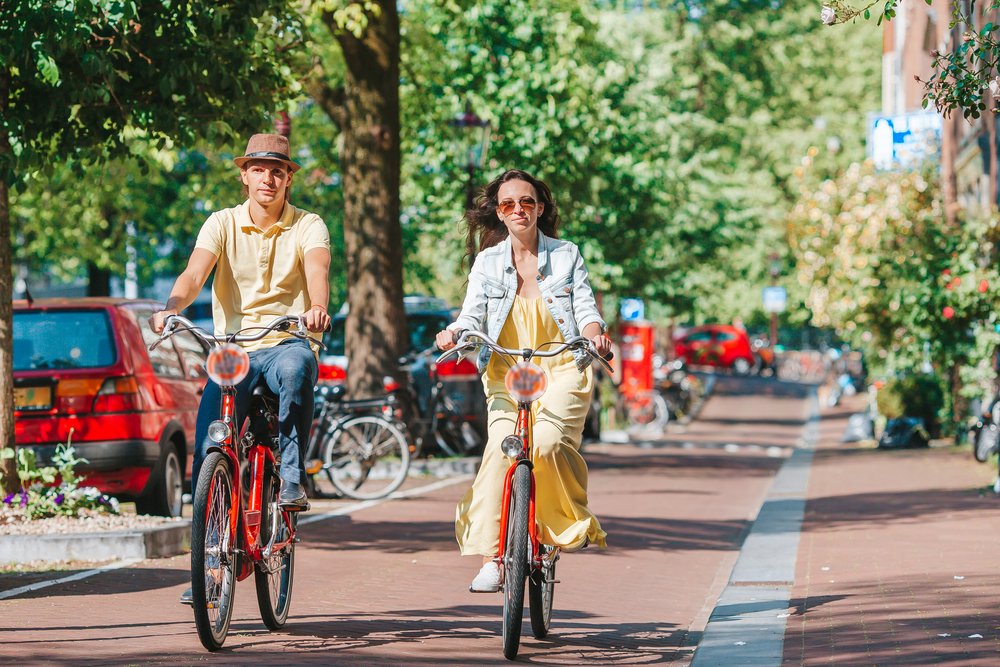 Top In-Demand Jobs in the Netherlands (2025)